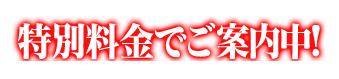 特別料金